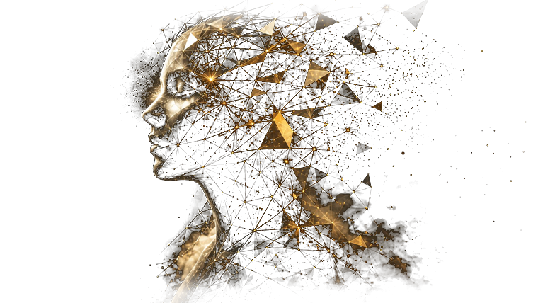 Digital workflow and website creation